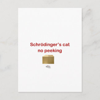 katt vykort