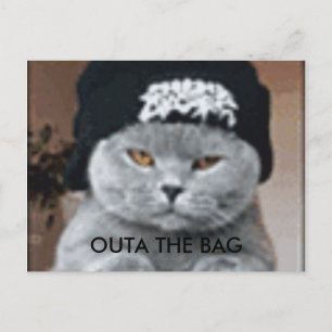 KATT VYKORT