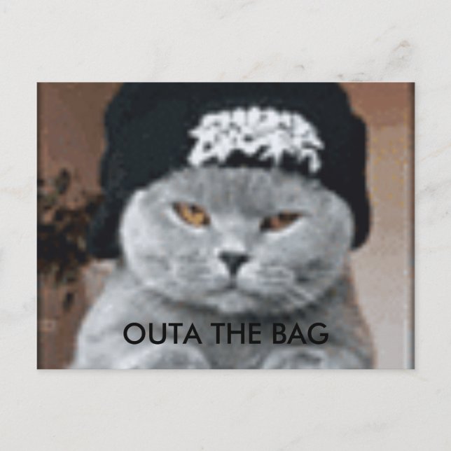 KATT VYKORT (Framsida)