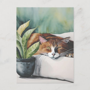 katt vykort