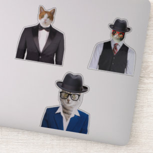 Katt Wear Sunglass Klistermärken