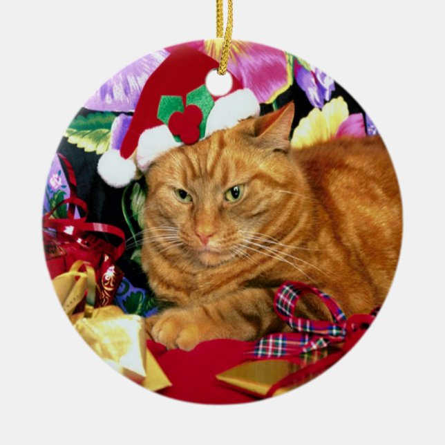 Katt Wearing Jultomten Hat - Ornament (Framsidan)
