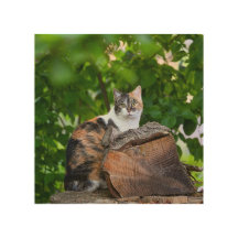 Katt Wood Wall Art Art