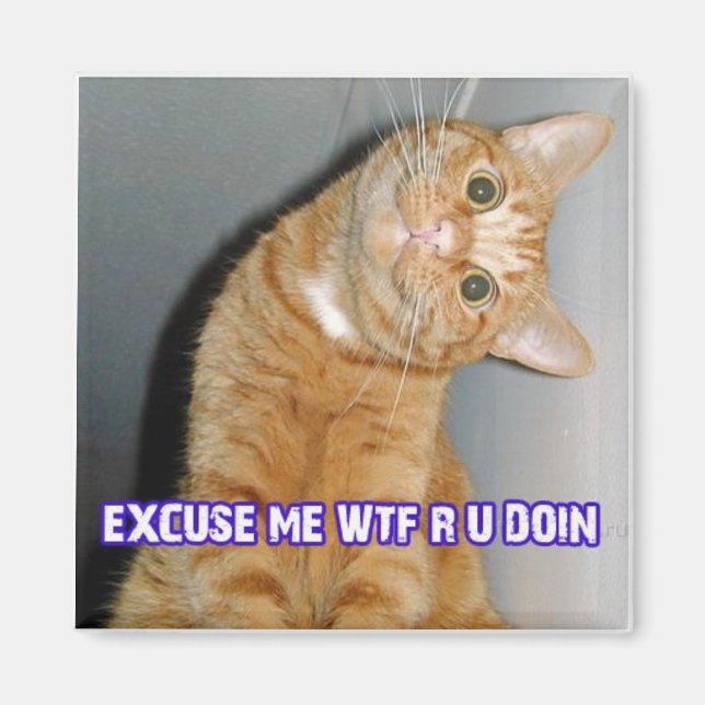 katt-wtf magnet (Framsidan)