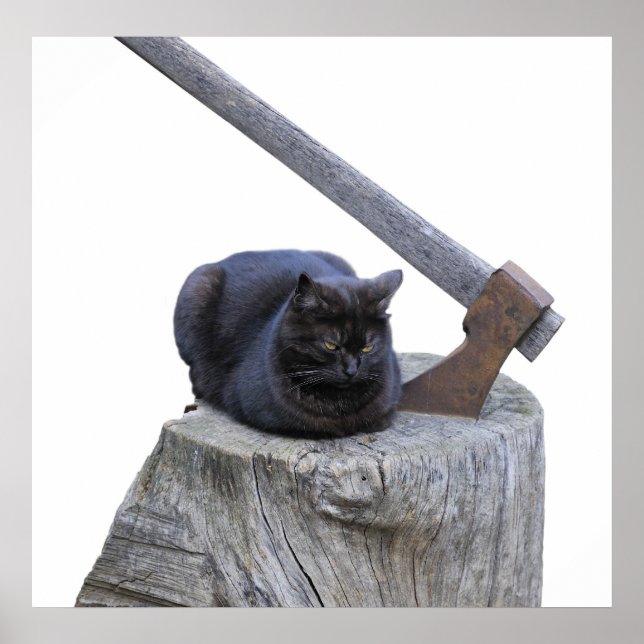 katt, yxa och liv poster (Framsidan)