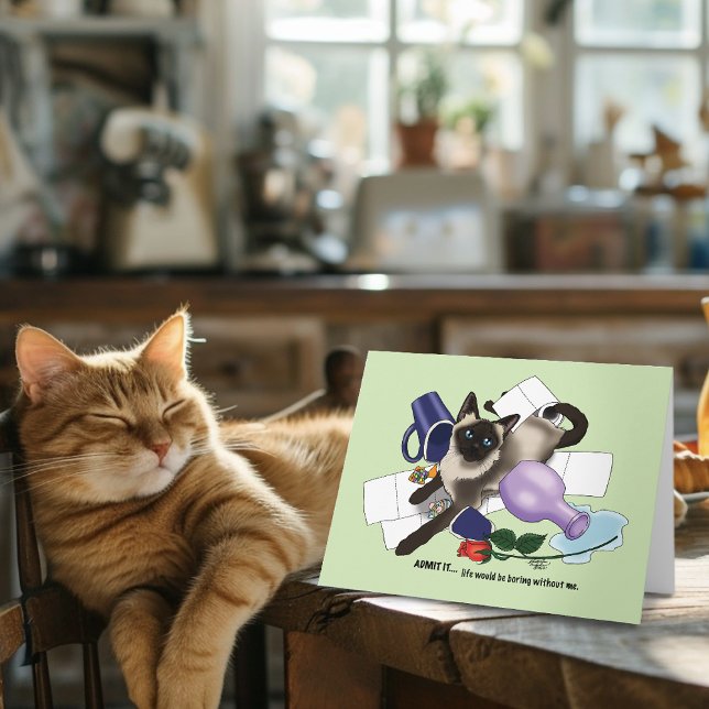 Kattadoption av siamesiska kort (Skapare uppladdad)