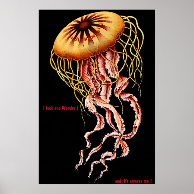 Kattaffisch Poster (Framsidan)