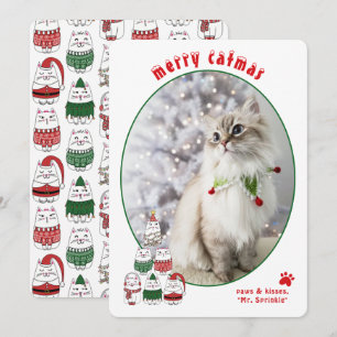 Kattälskare Söt Jul Katt Foto Jul Julkort