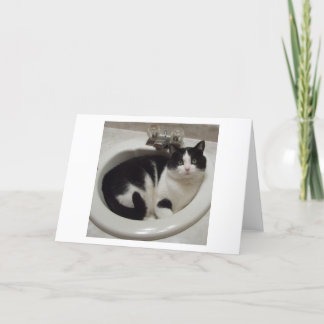 Kattälskarefröjd Kort
