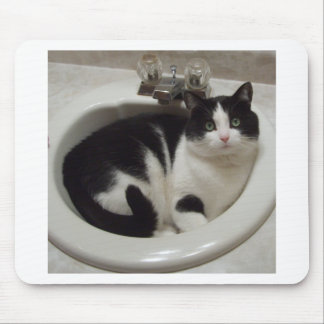 Kattälskarefröjd Musmatta