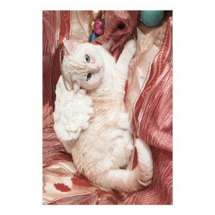 Kattängel Fototryck