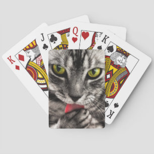 Kattaning Kortlek