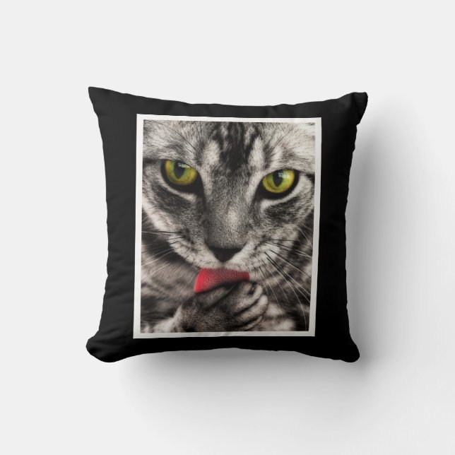 Kattaning Kudde (Framsida)