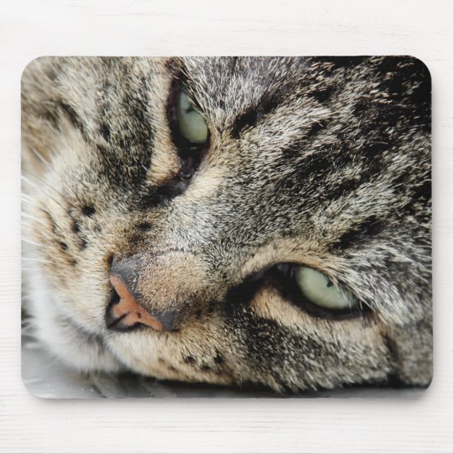 Kattansikte Musmatta (Framsidan)