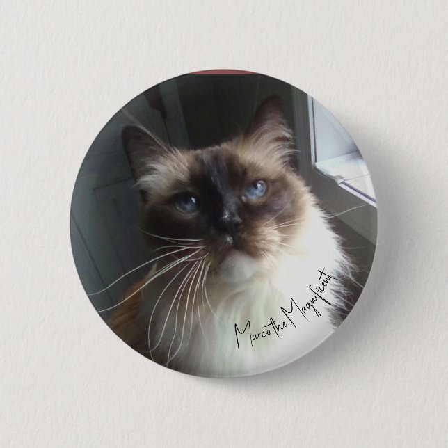 Kattansiktsknappen har Marco den Magnifike.  Knapp (Framsida)