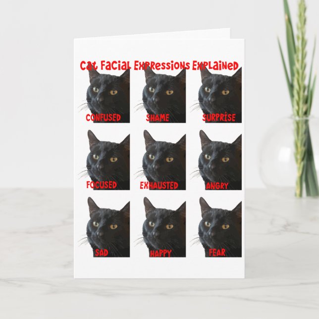 Kattansiktsuttryck Förklarat Diagram Utklipp Kort (Framsida)