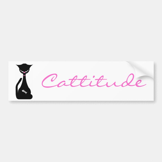 Kattattityd dekal (Framsidan)