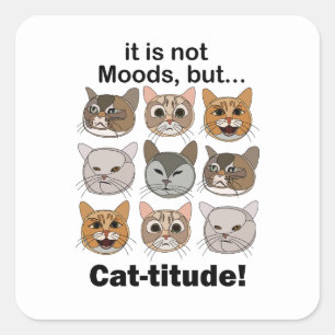 Kattattityd Katt Humör Kattälskare Fyrkantigt Klistermärke