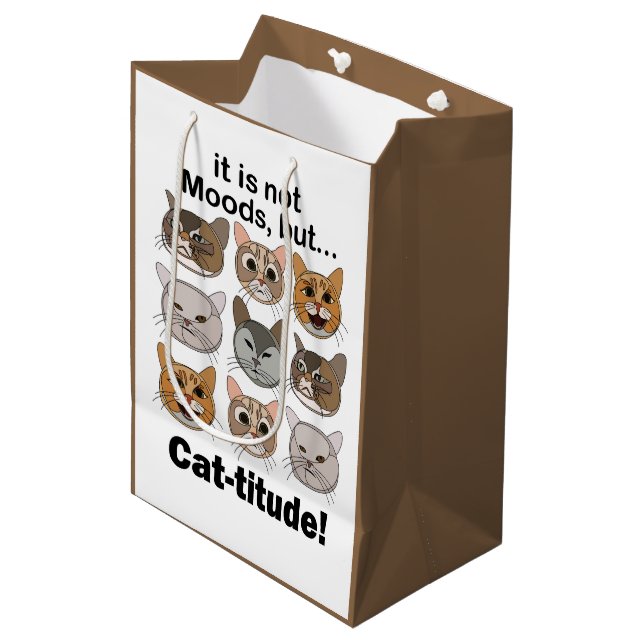 Kattattityd Kattstämningar Kattälskare (Framsidan Vinklad)