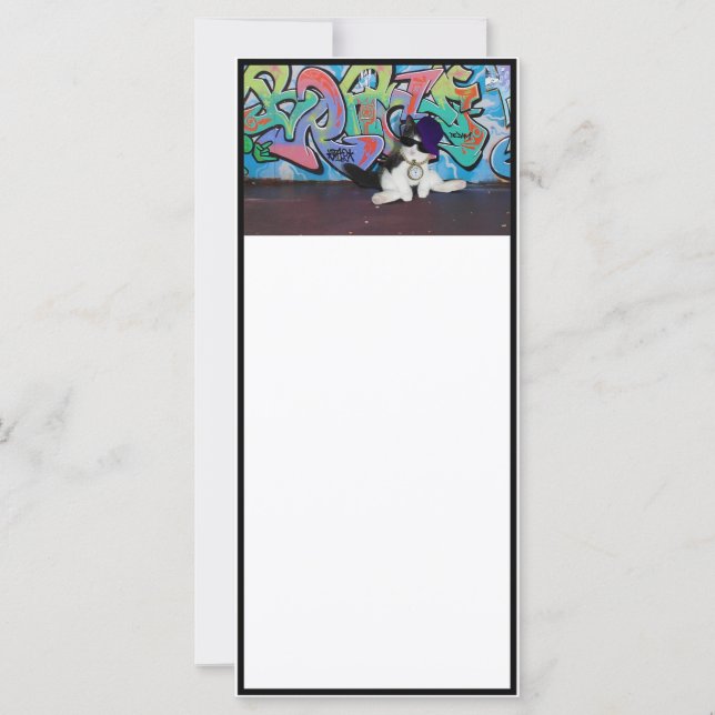 Kattattityd....Kitten och Graffiti Wall (Framsida)