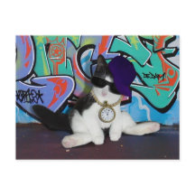 Kattattityd.......................................