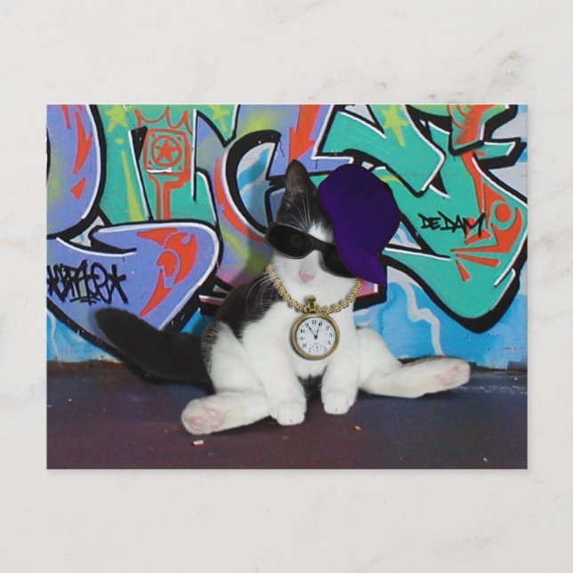 Kattattityd....................................... Vykort (Framsida)