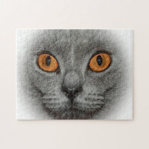 Kattaugor Pussel