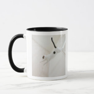 Kattbanhoppning Mugg
