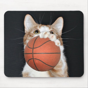 Kattbasket Musmatta