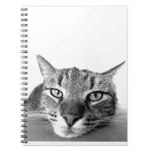 Kattbevakning Anteckningsbok