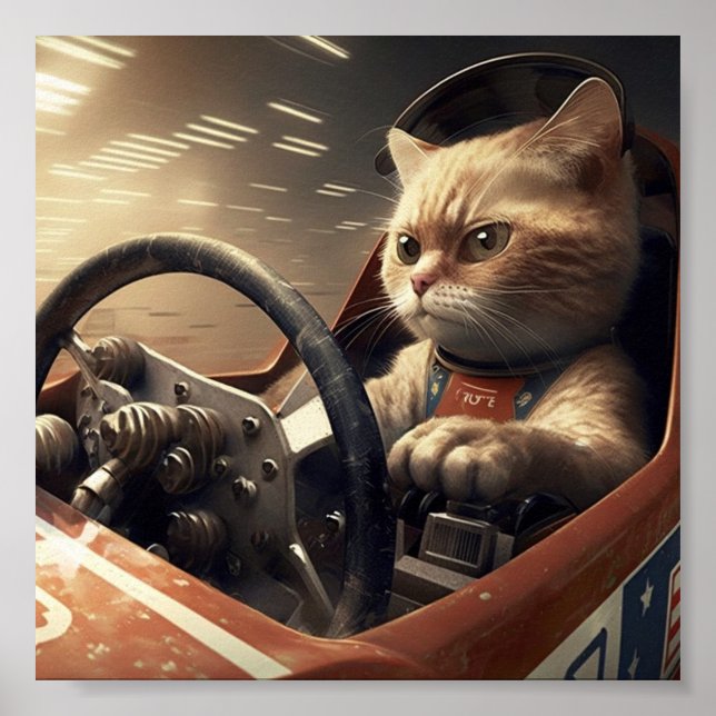 Kattbil för tävla poster (Framsidan)