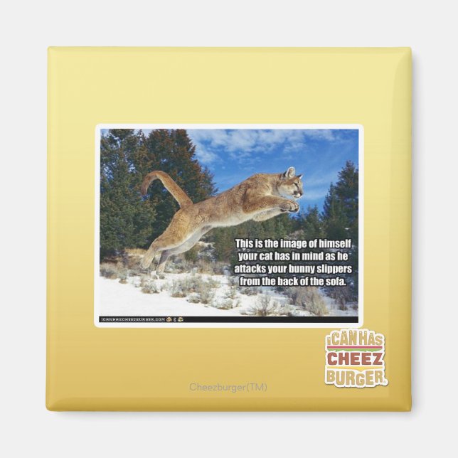 Kattbild Magnet (Framsidan)