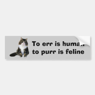 Kattbildekal Bildekal