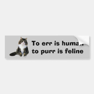 Kattbildekal Bildekal