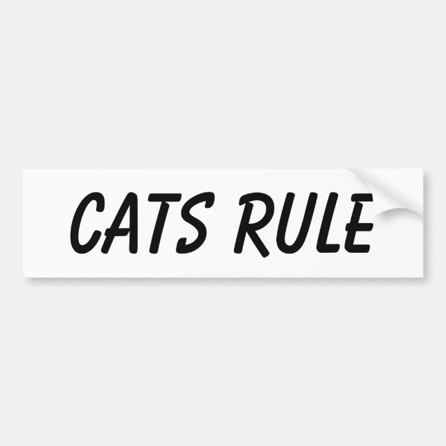 Kattbildekal Bildekal (Framsidan)