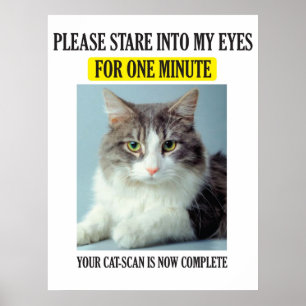 Kattbildläsningsaffisch Poster
