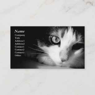 Kattblack&white - visitkortar visitkort