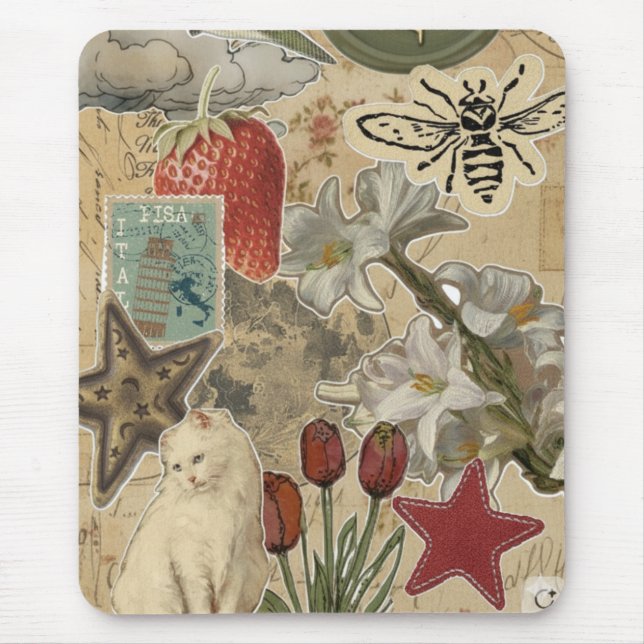 Kattblommig collage-mönster – Sött konstnärligt de Musmatta (Framsidan)