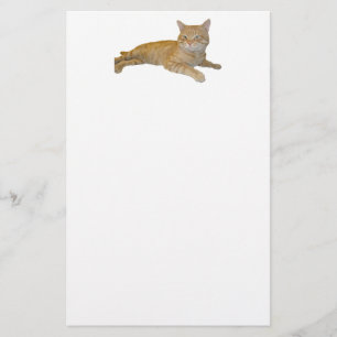 Kattbrevpapper Brevpapper