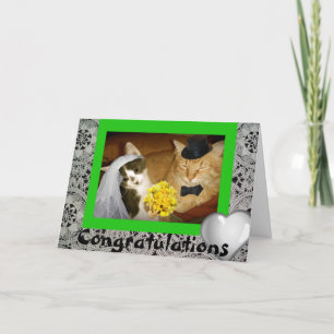 Kattbröllop Kort