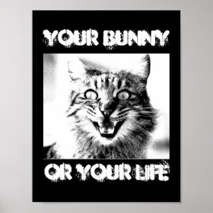 Kattbrottslingar i din bunny eller ditt liv... poster