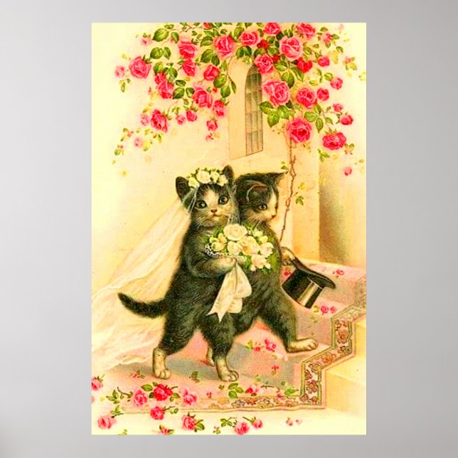 Kattbrud och kattunge poster (Framsidan)