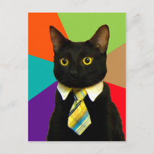 Kattchef i slips vykort