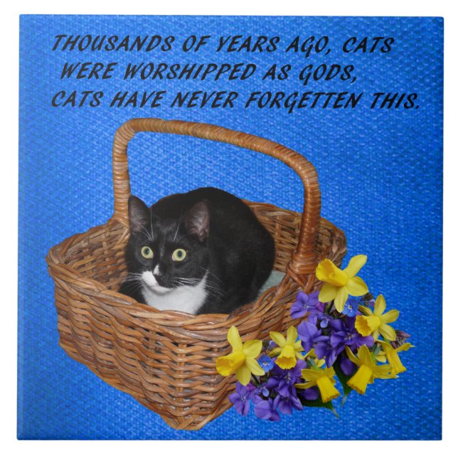 KATTCITATIONSTECKEN KAKELPLATTA (Framsidan)