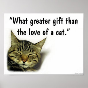 Kattcitationsteckenaffisch Poster