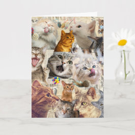 Kattcollage Välkomstkort Kort