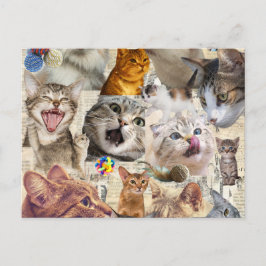 Kattcollage vykort