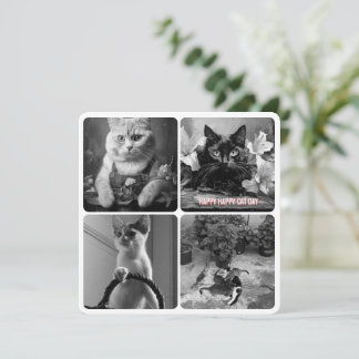 kattdag svart vitt rött