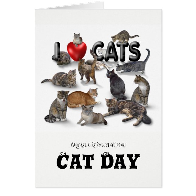 Kattdagen i internationell hälsningskort (Framsidan)