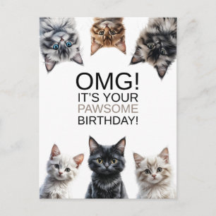 Kattdamens födelsedag OMG! Det är din födelsedag Vykort
